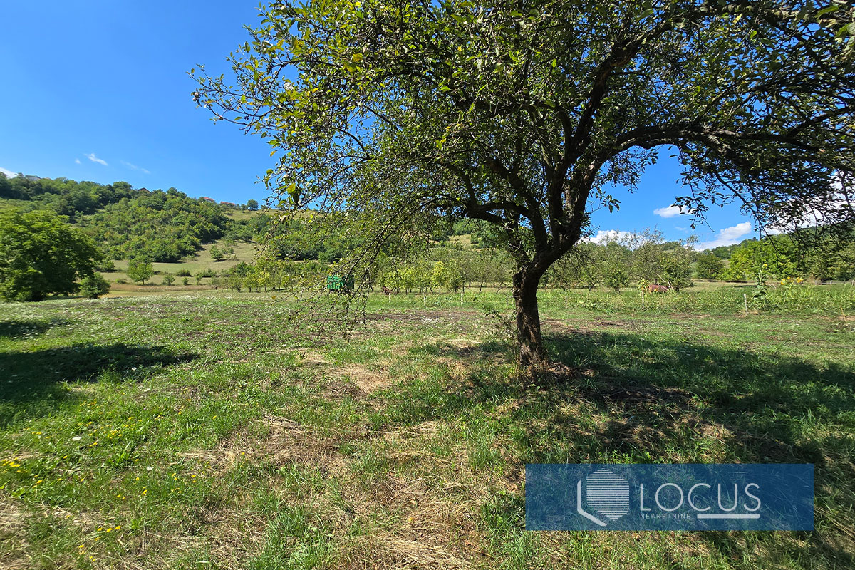 9. Parcela.jpg